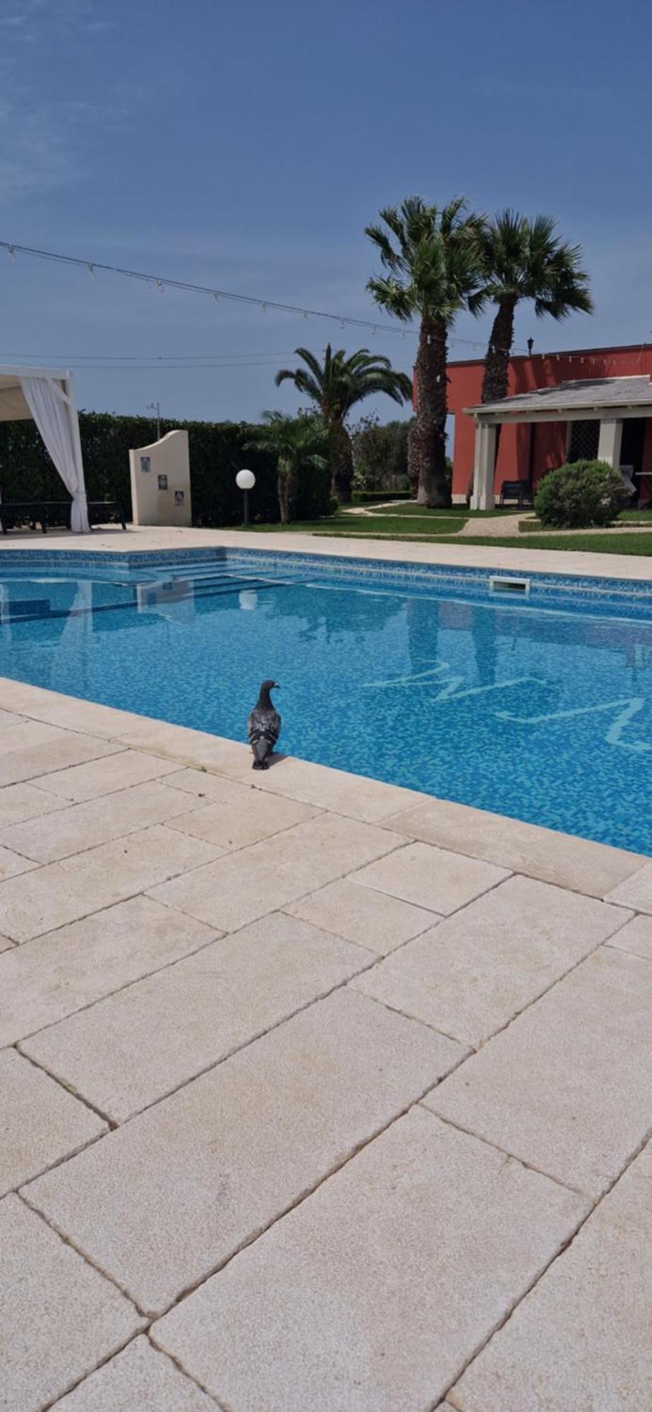 Bed & Breakfast Villa Michela Alezio Bagian luar foto